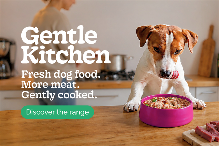 Gentle Kitchen
